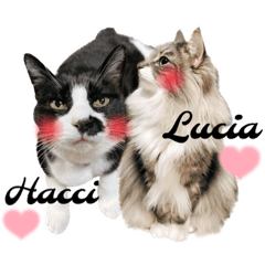 Lucia&Hacci