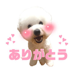 Ayano_20220919223137