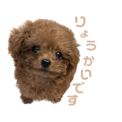konatsu_20220919234508