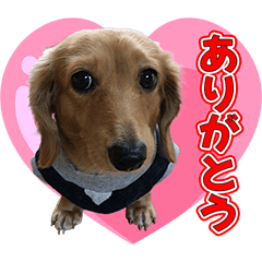4dakkusu sticker