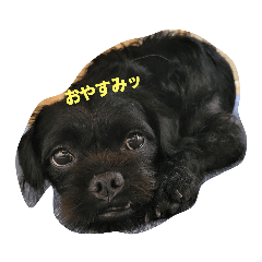 kimaru_20220920004223