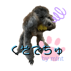 yuka_20220920004529