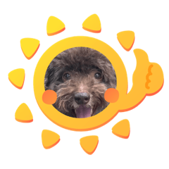 mizuki_20220920102624