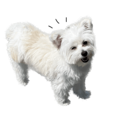 nozomi_20220920123154