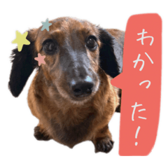 HANA_20220920123904