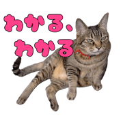 sayonee1415_20220920145810