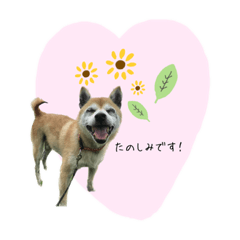Yuka_20220920161125