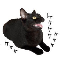 Mizuki_20220920170827