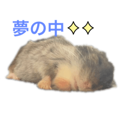 ton_20220920184724