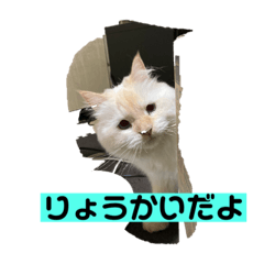 megumi_20220920202354