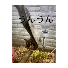 rina_20220920202615