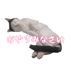 猫ネコねこ〜のスタンプ(3)