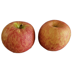 Food Series : Some Apple #4