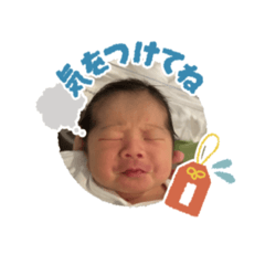 HaruFukute