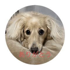 sachiko_20220920215044