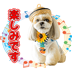 ITOSHINOPOCHAKKO