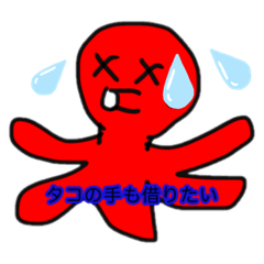 たこちゃむの毎日1