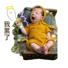 小元寶(宥宥）1