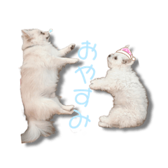 Megumi_20220921125815