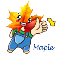 Maple Leaf Baby's Sketchbook