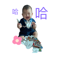 壯壯少爺