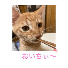 hana_20220921161020