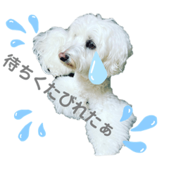 michimoco_20220921165457