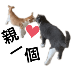 啾啾 & 蛋蛋 ❤️