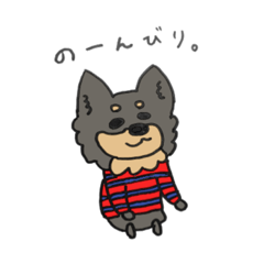 The Tanaka family's dog Chiroru