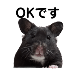 Japanese OTAKU_20220921192324