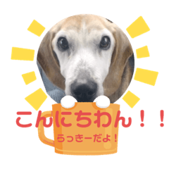 cj_20220922015856