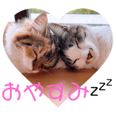 suzu_20220921201221