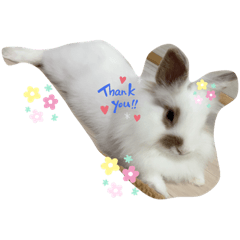 tomomi_20220921221205