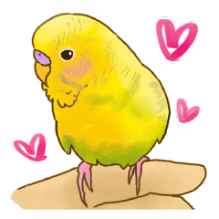 Pi-chan Budgerigar Sticker