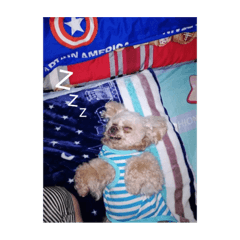 亮亮亮亮亮亮亮亮