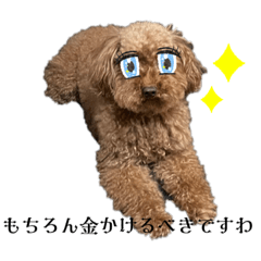 Miyuu_20220921233854