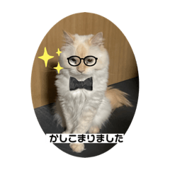 megumi_20220922120942
