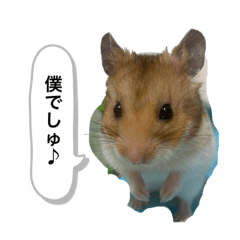 Megumi_20220922144400