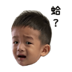 Tyler_20220922113557 – LINE stickers | LINE STORE