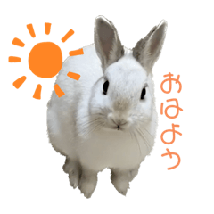omochi_20220922155213