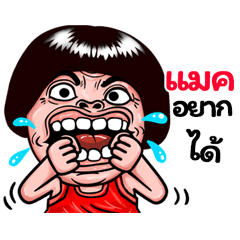 Maxx: Isan Style Special1