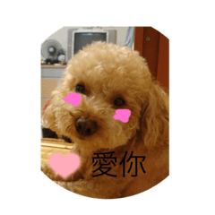 獎金可愛貼圖