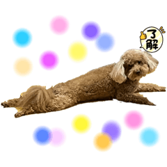 hiyori_20220922211138