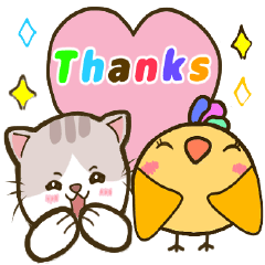 白小純萌貓wado與3色羽鳥鳥pira-歡樂日常