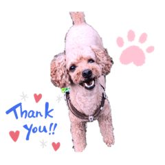 NATSUMI_20220922230423