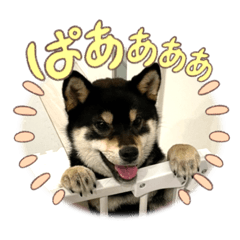 YUN_20220923002859