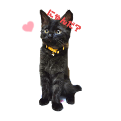 saori_20220922232258