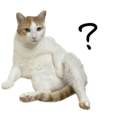 Ryuki_20220922223821