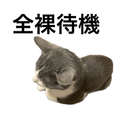 Hana_20220923000726