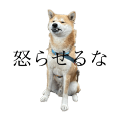 hiyori_20220923115608